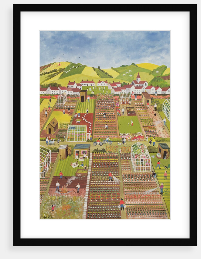 Allotments by Judy Joel