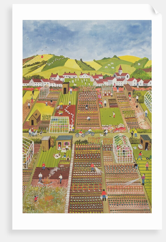Allotments by Judy Joel