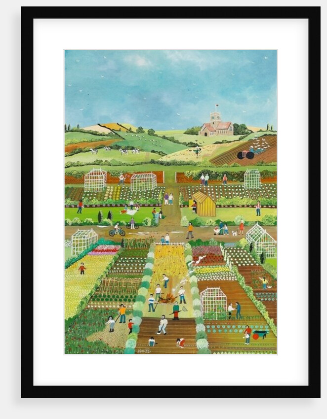 Allotments, 2012 by Judy Joel
