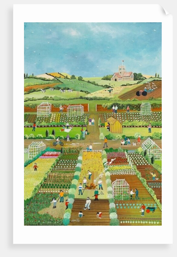 Allotments, 2012 by Judy Joel