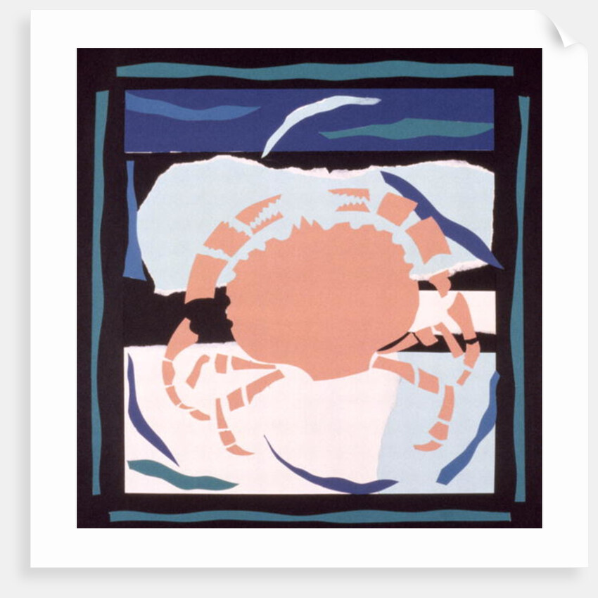Crab by John Wallington