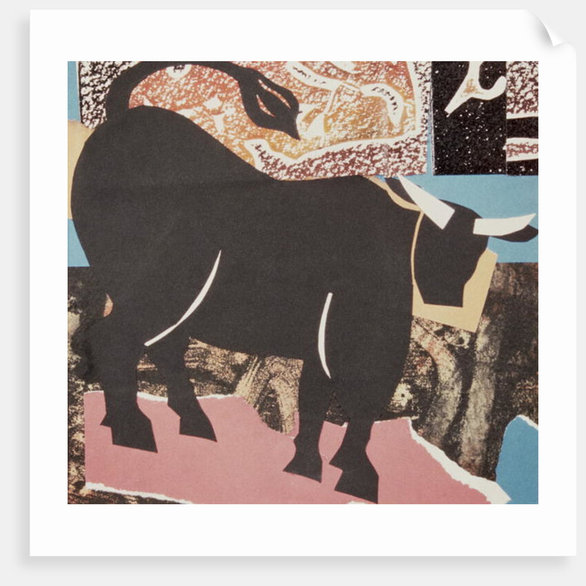 Aberdeen Angus Bull by John Wallington