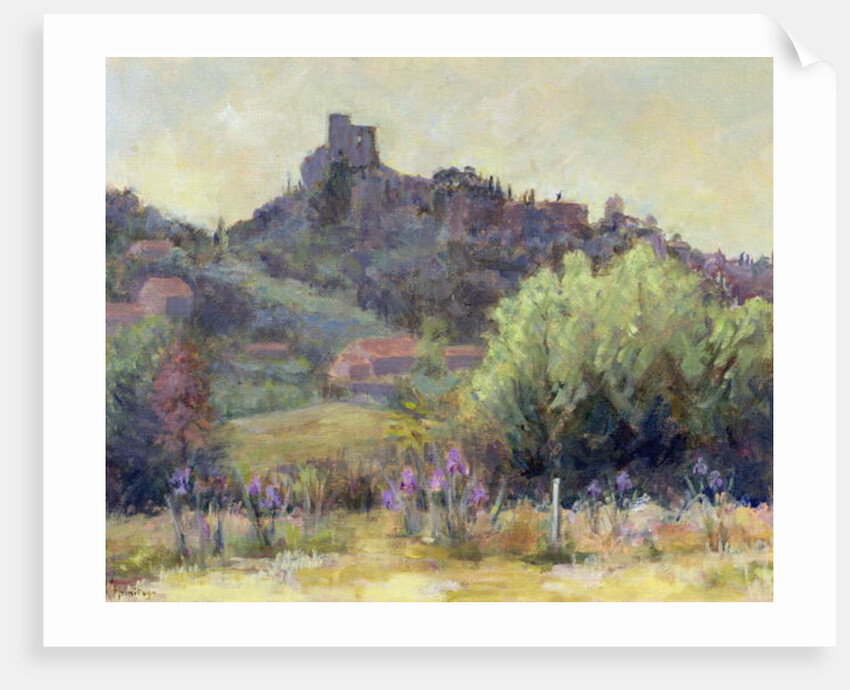 Vaison La Romaine, Vaucluse by Karen Armitage