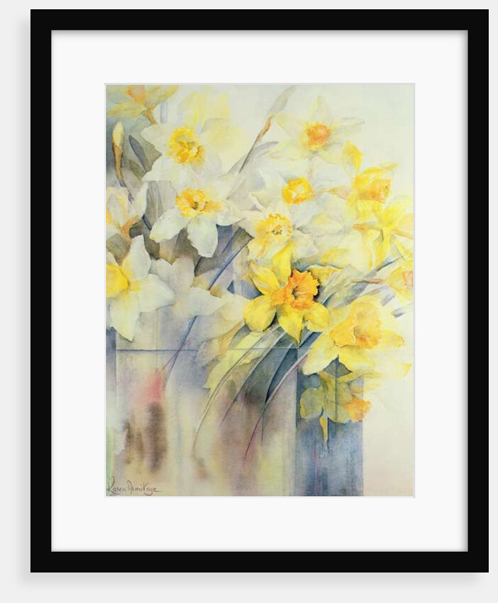Mixed Daffodils in a Tank by Karen Armitage