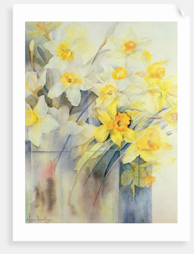 Mixed Daffodils in a Tank by Karen Armitage