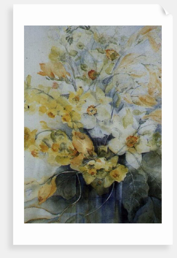 Spring flowers by Karen Armitage