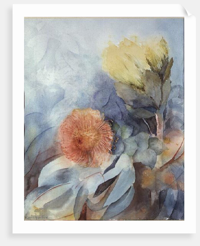 South Africa Protea by Karen Armitage