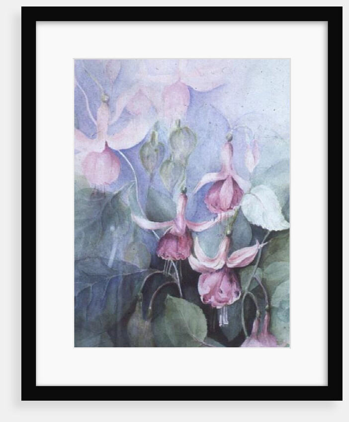 Fuschia, pink coachman by Karen Armitage