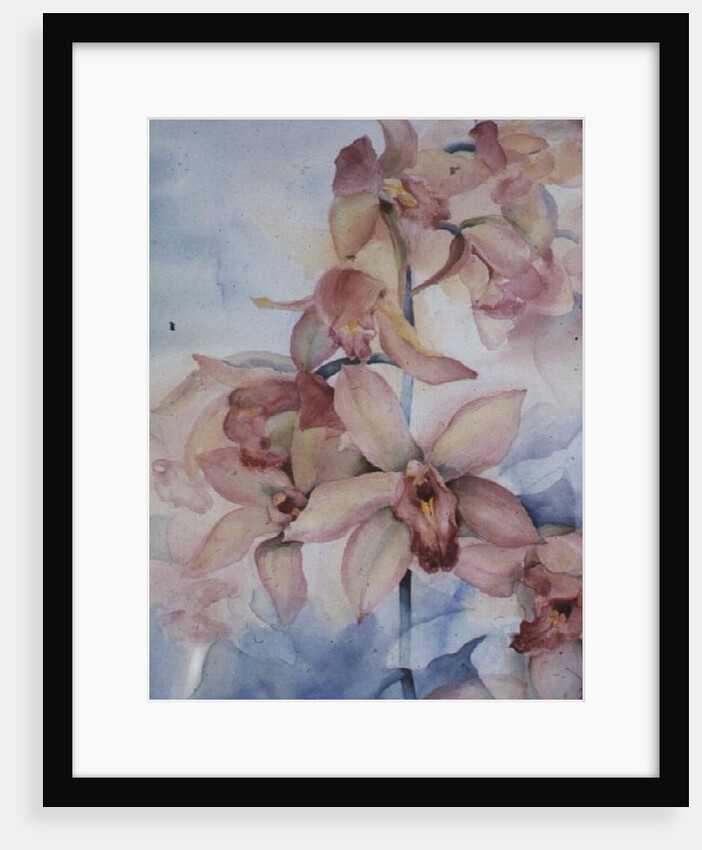 Orchid Cymbidium Ramley by Karen Armitage