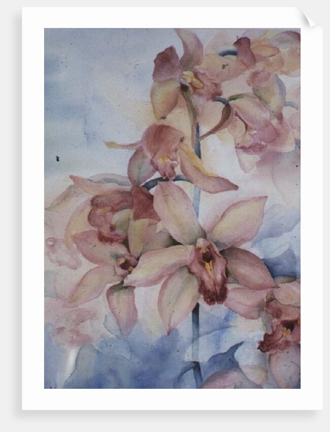 Orchid Cymbidium Ramley by Karen Armitage