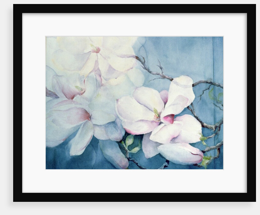 Magnolia Soulangeana (horizontal) by Karen Armitage