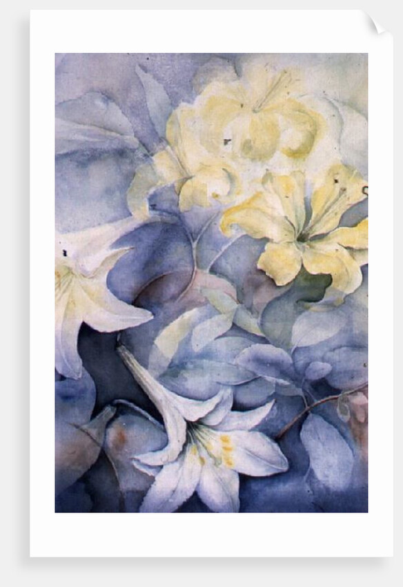 Lilium, Hearts Desire and Imperiale by Karen Armitage