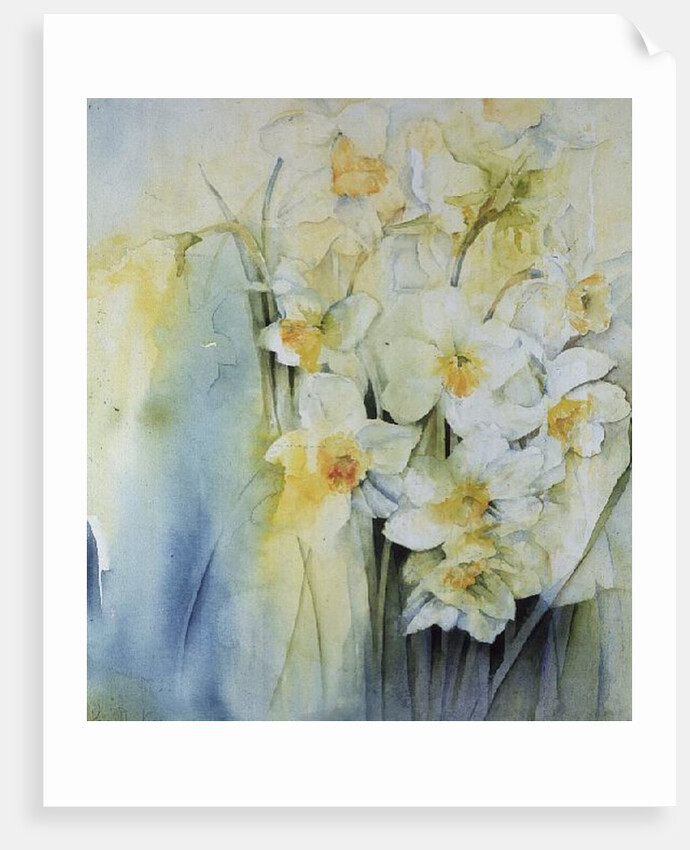 Narcissi and freesia by Karen Armitage