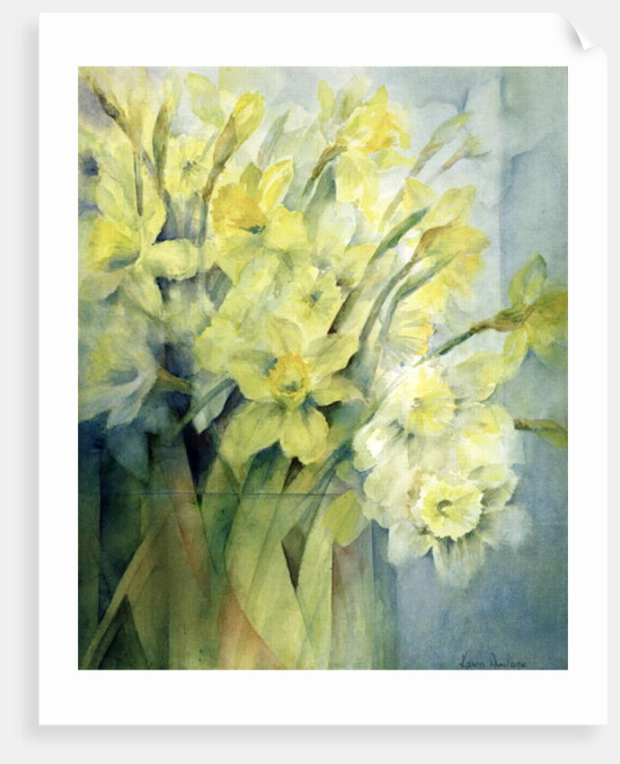 Daffodils, Uncle Remis and Ice Follies by Karen Armitage
