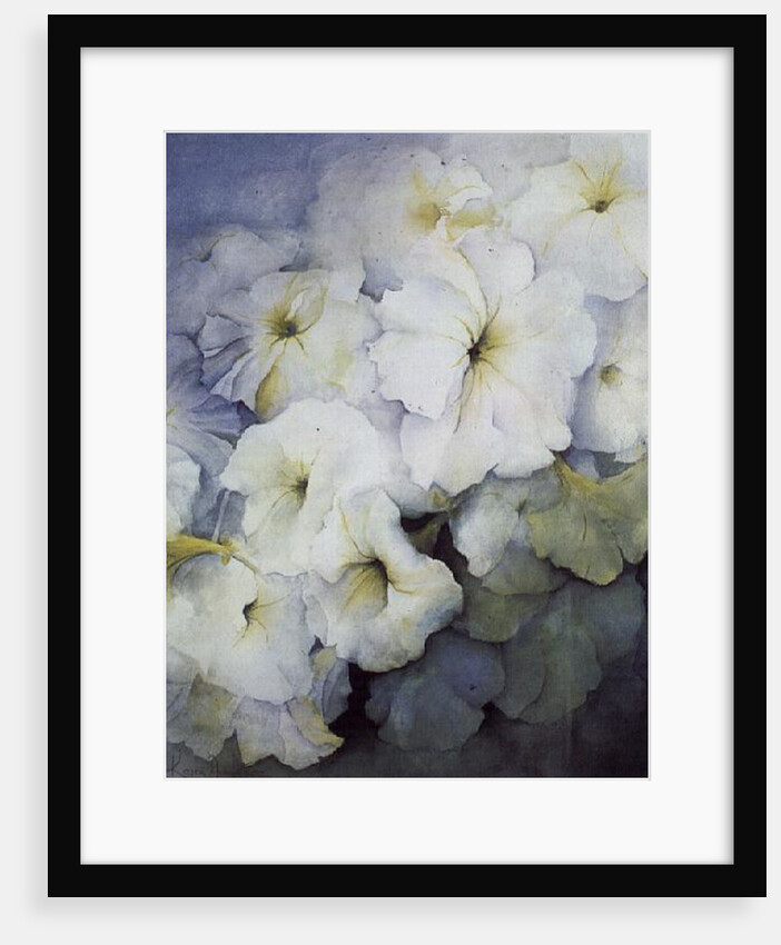 Petunia Snowball by Karen Armitage