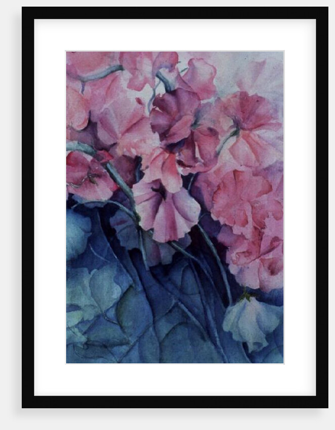Sweet Peas, Pink Pride (vertical) by Karen Armitage