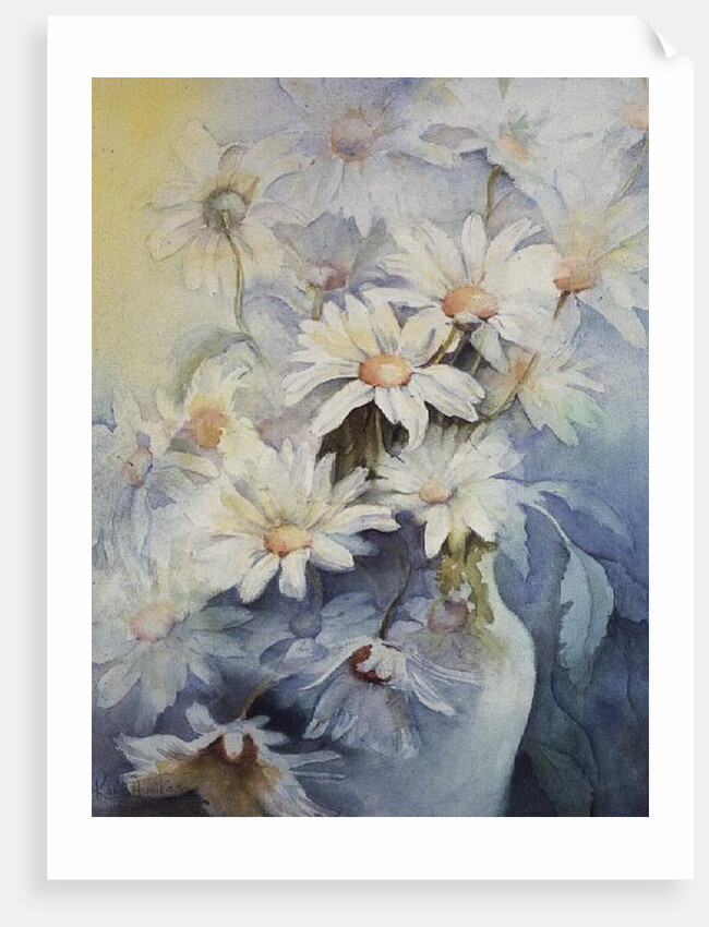 Chrysanthemum, Snowcap by Karen Armitage