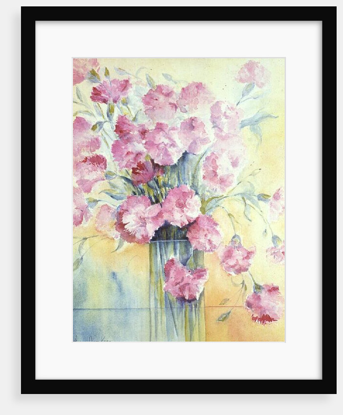 Dianthus Doris by Karen Armitage
