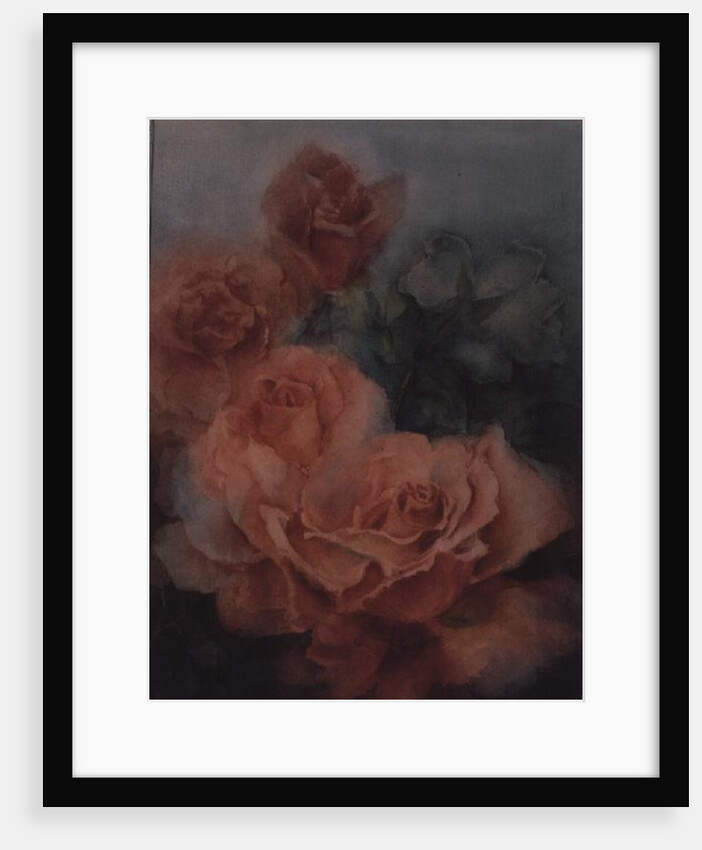 Pink Roses, Prima Ballerina by Karen Armitage