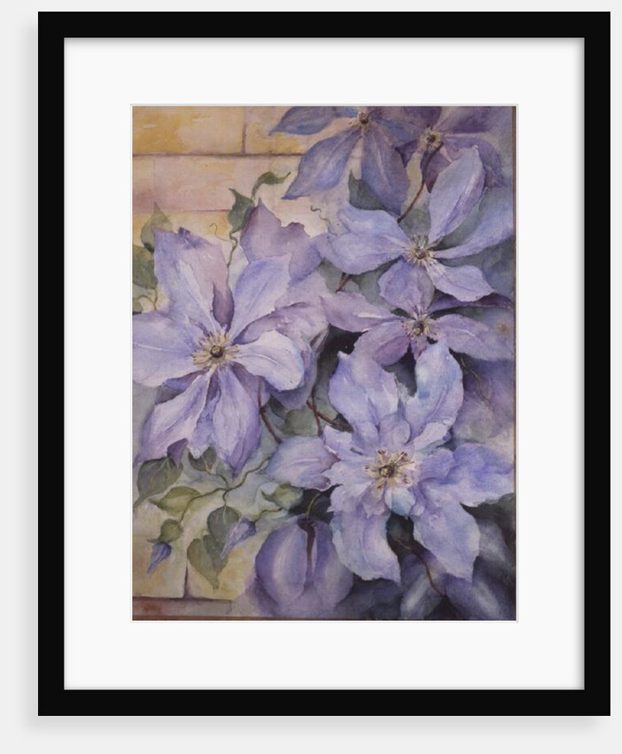 Clematis, The President by Karen Armitage