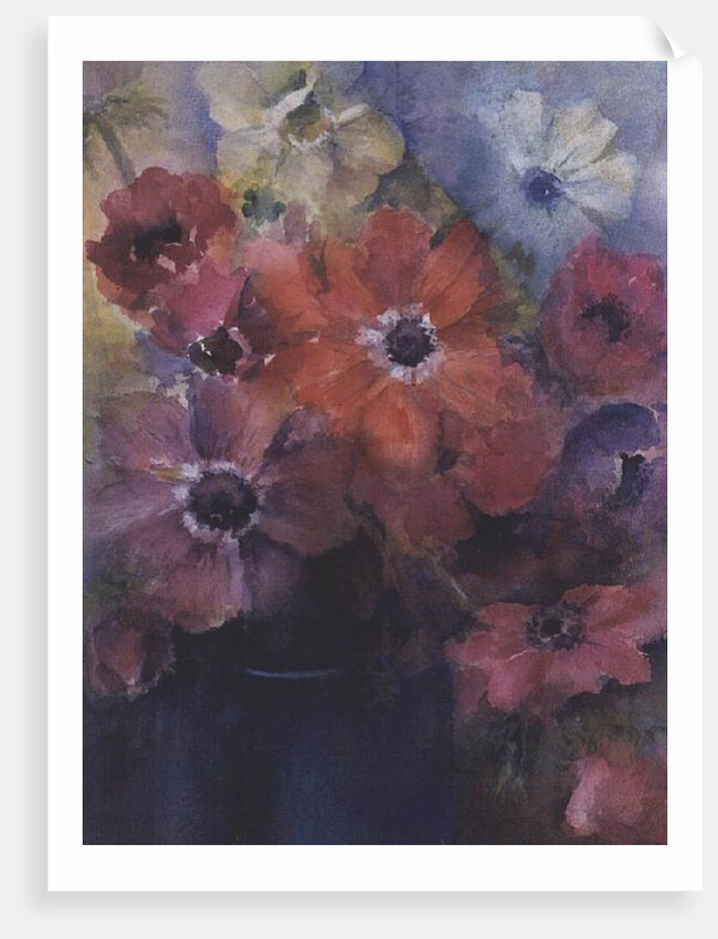 Caen Anemones in a Blue Jug by Karen Armitage