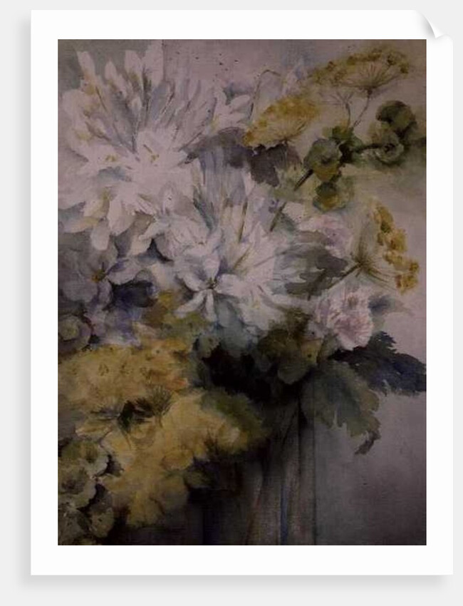 Agapanthus Molucela arrangement in a glass vase by Karen Armitage