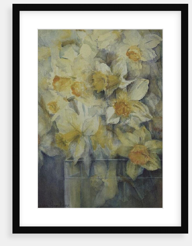 Spring Time, mixed daffodils in tank No 3., Mrs Krelage, Ice Follies and Fortune by Karen Armitage