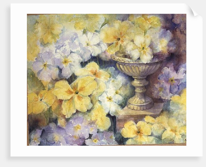 Polyanthus at Hurst by Karen Armitage