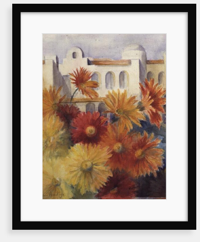 Gerberas by Karen Armitage