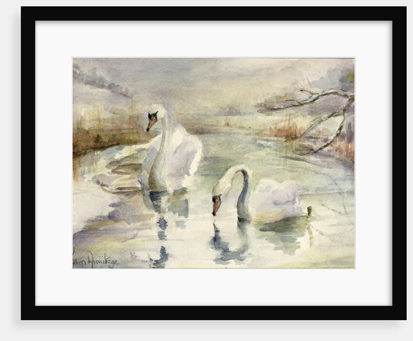 Swans in Winter by Karen Armitage