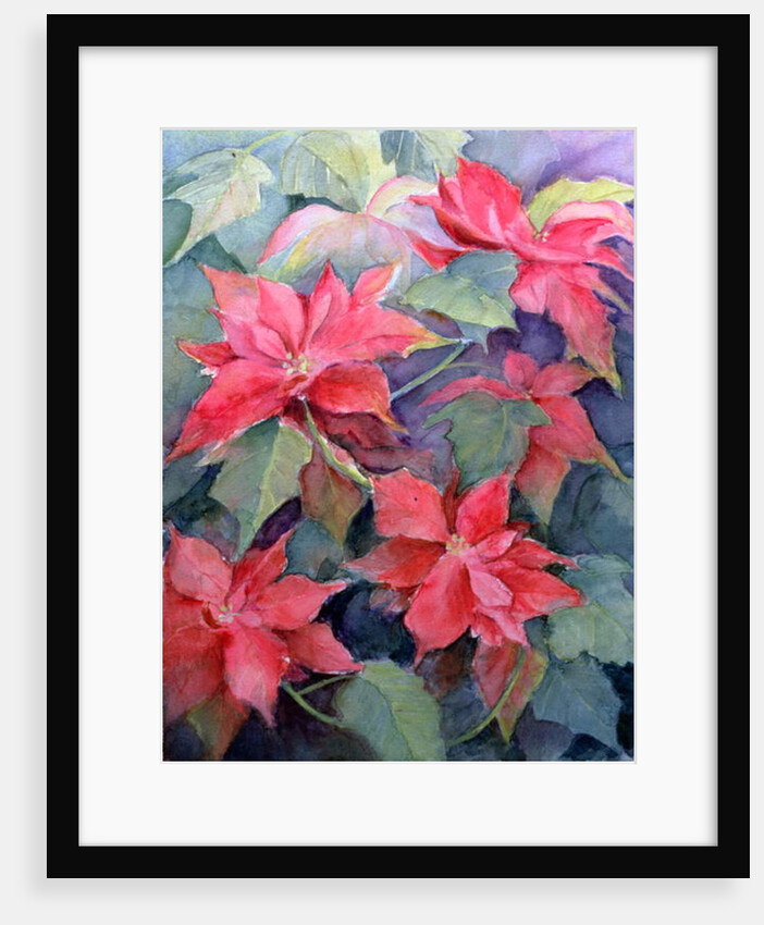Poinsettia by Karen Armitage