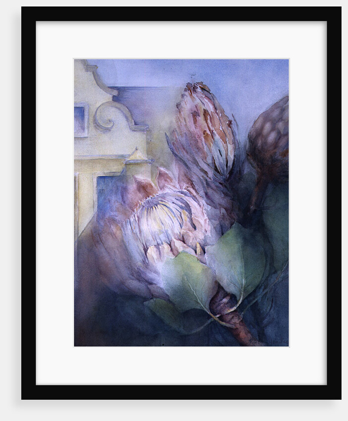 Protea at Stellenbosch, 1992 by Karen Armitage