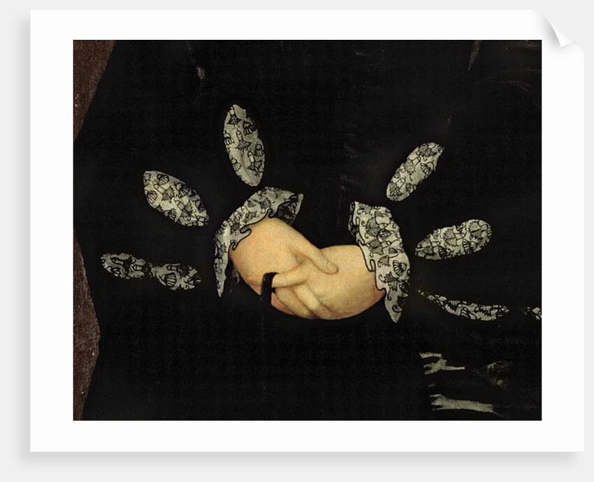 Blackwork embroidery, c.1546 by Guillaume Scrots