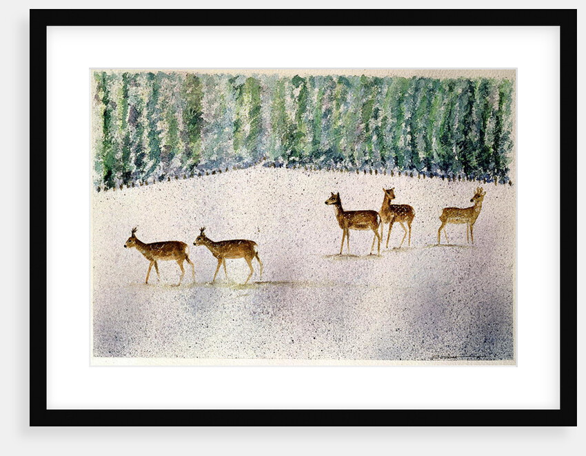 Deer in Snow by Suzi Kennett