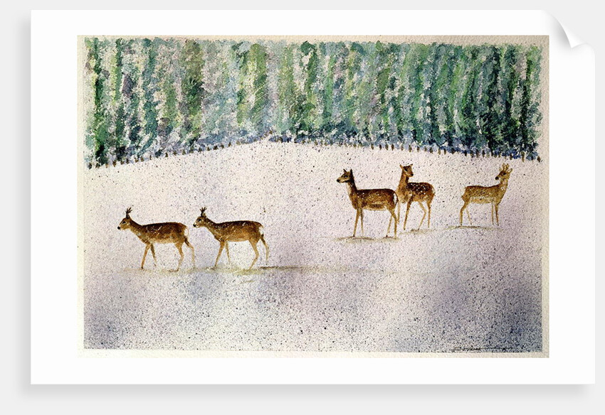 Deer in Snow by Suzi Kennett