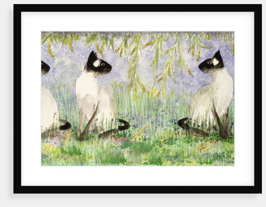 Cat Kins by Suzi Kennett