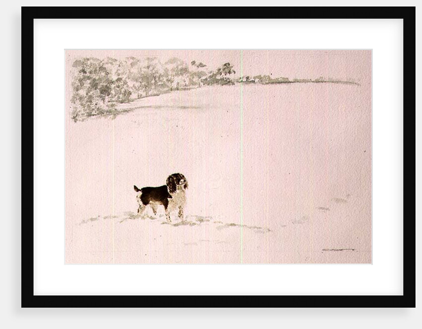Springer Spaniel in the Snow by Suzi Kennett
