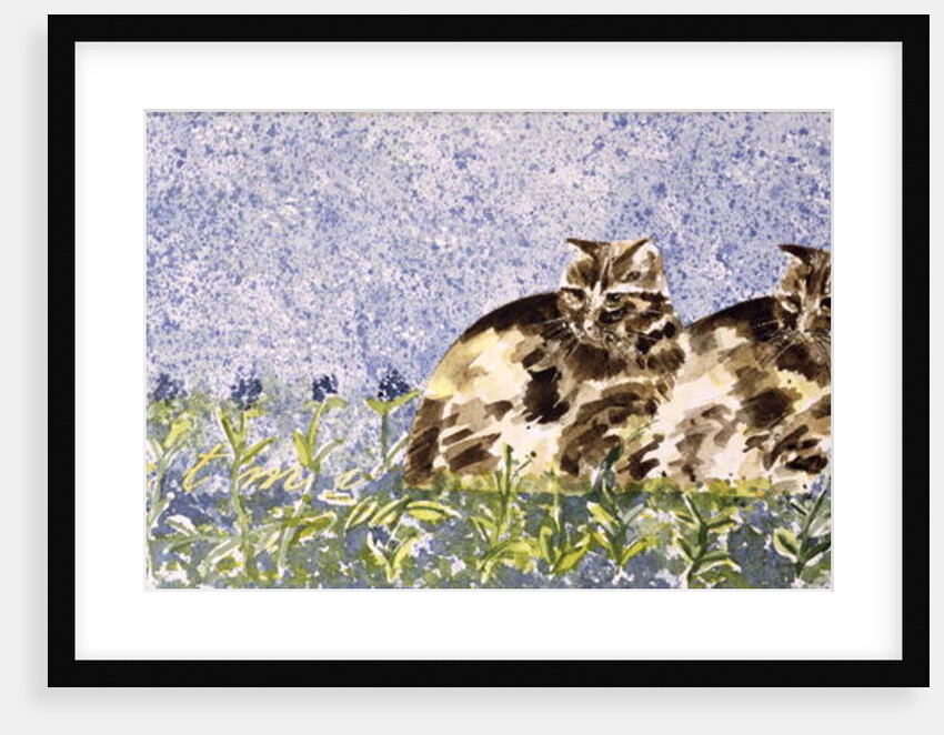 Cat Mint by Suzi Kennett