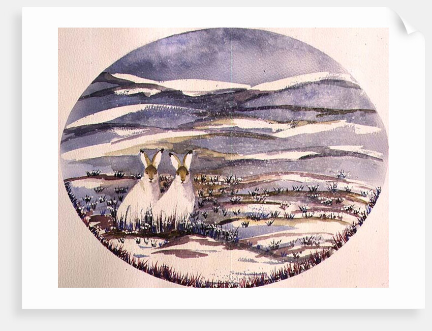 Two Hares in a Snowy Landscape by Suzi Kennett