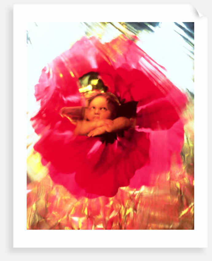 Angel and Poppy by Katherine Fawssett