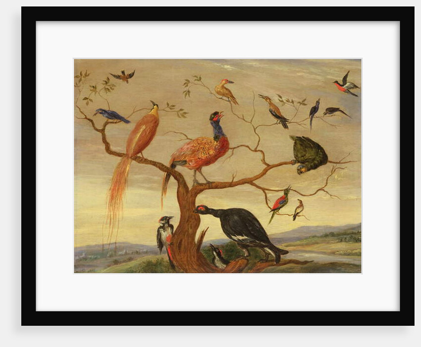 A Concert of Birds by Jan van the Elder Kessel