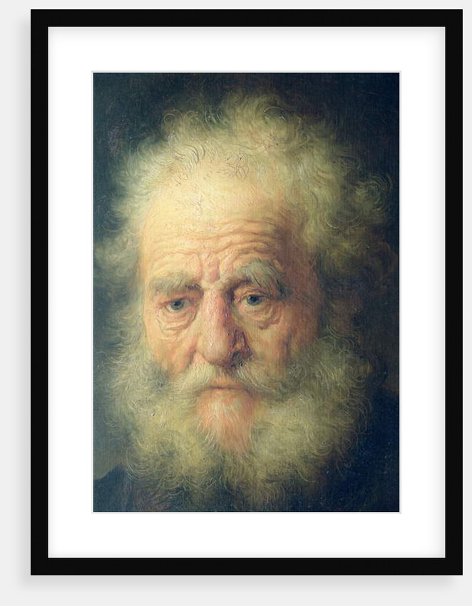 Bust of an Old Man with a Gold Chain by Rembrandt Harmensz. van Rijn