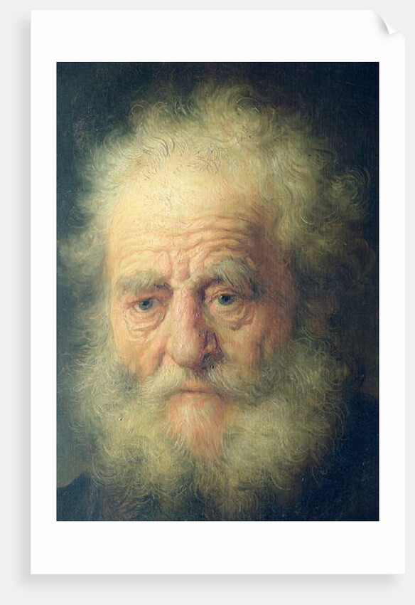 Bust of an Old Man with a Gold Chain by Rembrandt Harmensz. van Rijn