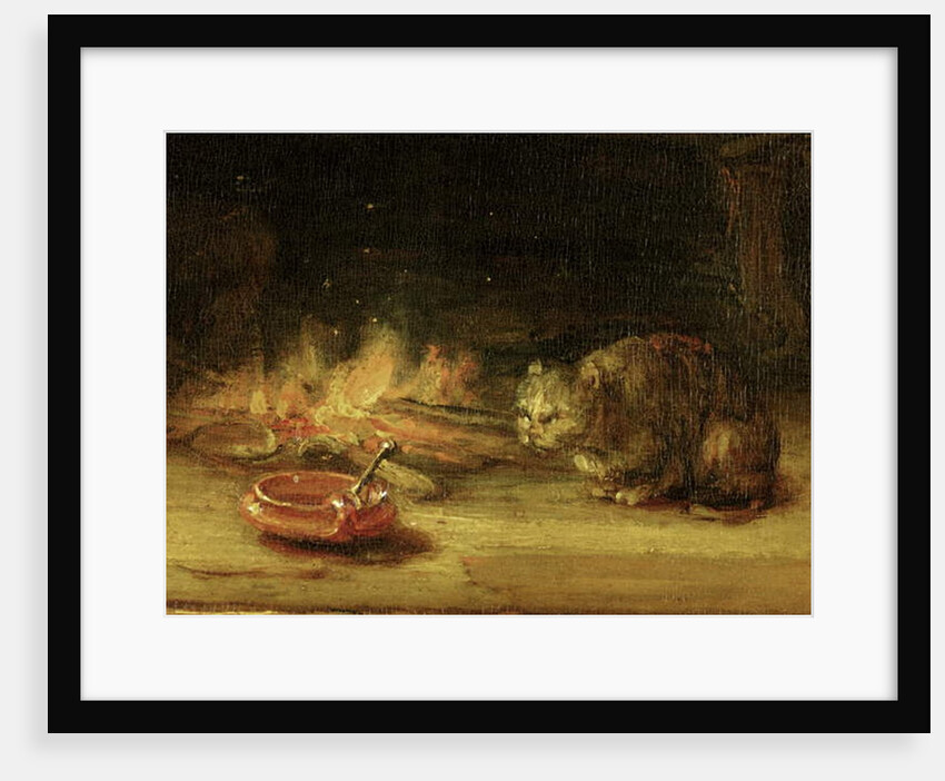 Cat by Rembrandt Harmensz. van Rijn