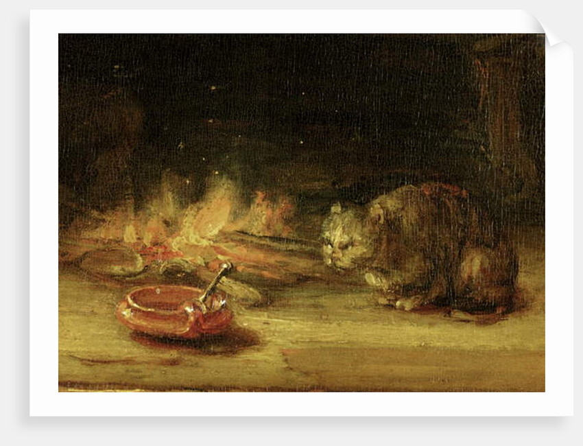 Cat by Rembrandt Harmensz. van Rijn