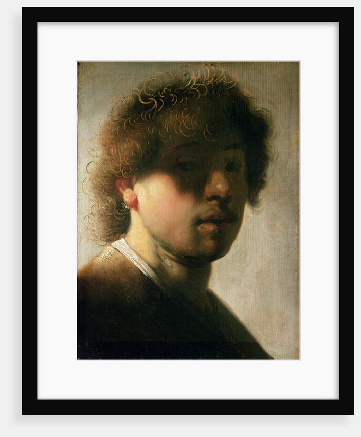 Portrait of Rembrandt with Overshadowed Eyes by (studio of) Rembrandt Harmensz. van Rijn