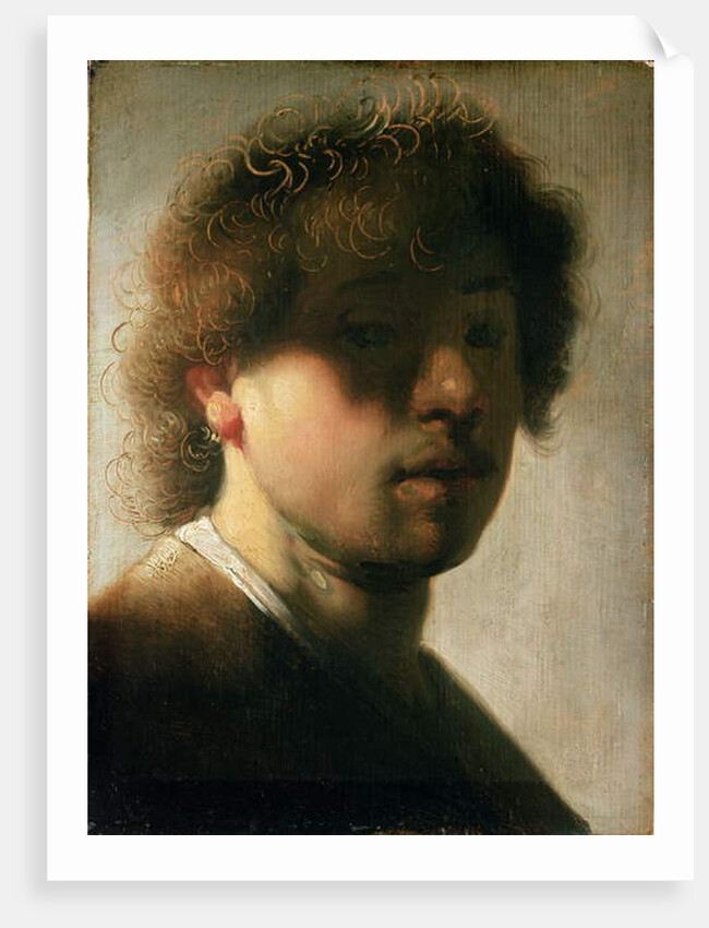 Portrait of Rembrandt with Overshadowed Eyes by (studio of) Rembrandt Harmensz. van Rijn