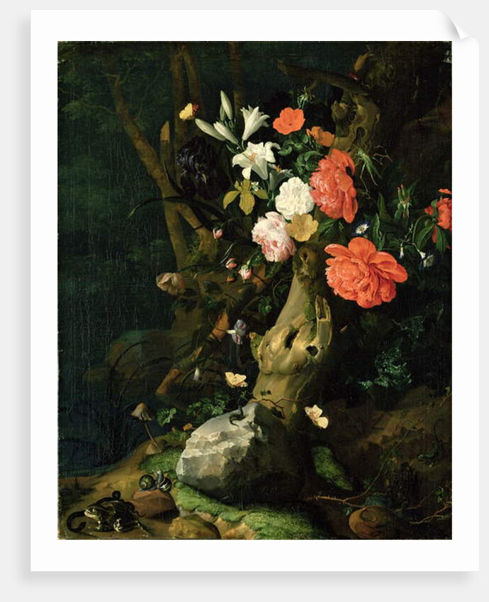 Still Life of Flowers on Woodland Ground, c.1690 by Rachel Ruysch