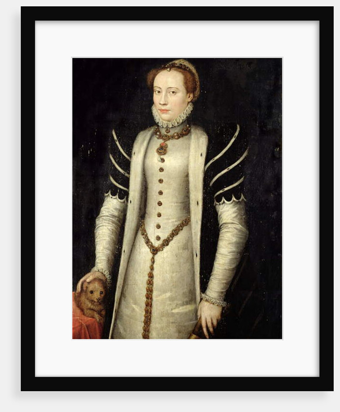 Portrait of a Noblewoman with a Puppy, 1555 by Anthonis van Dashorst Mor