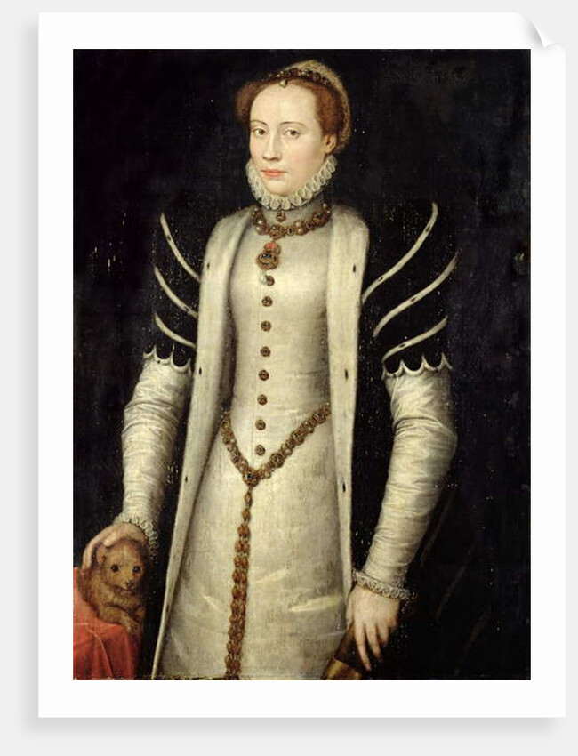 Portrait of a Noblewoman with a Puppy, 1555 by Anthonis van Dashorst Mor